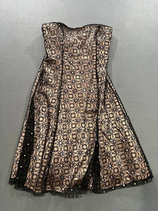 Adrianna Papell Dresses & Skirts - Adrianna Papell Boutique Sz 8 Black Sheer Mesh Sleeveless Cocktail Dress A008683